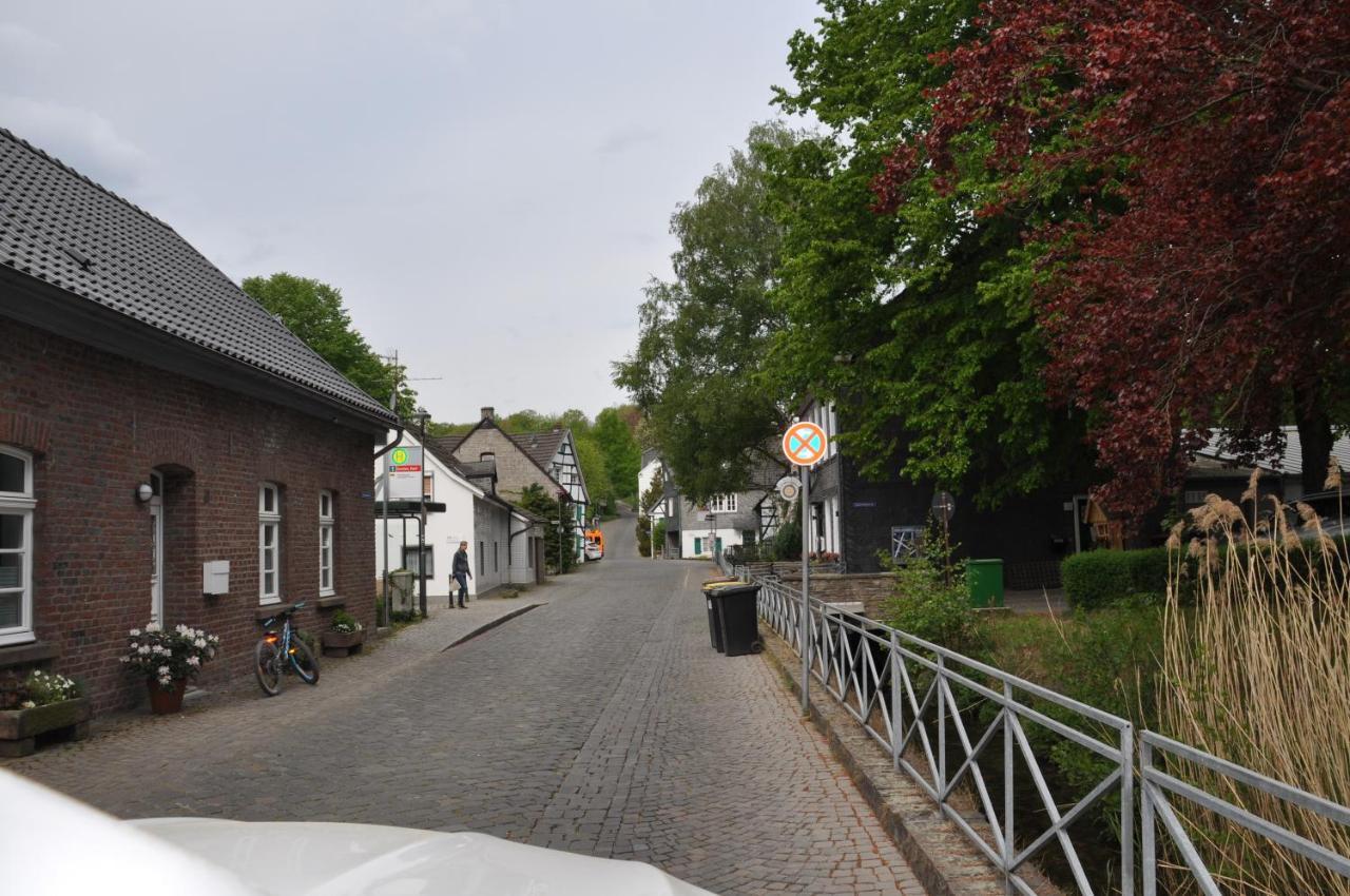 Sterner Obgruiten Haan Buitenkant foto